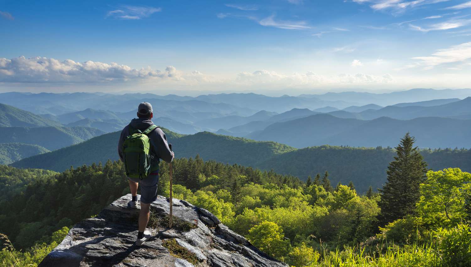Traveller enjoying nature